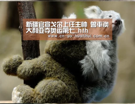 新疆官宣戈尔上任主帅 曾率澳大利亚夺奥运第七_hth(图2) 华体会官网