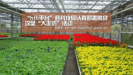 “hth平台”县科技局认真部署脱贫攻坚“大走访”活动(图3) 华体会官网